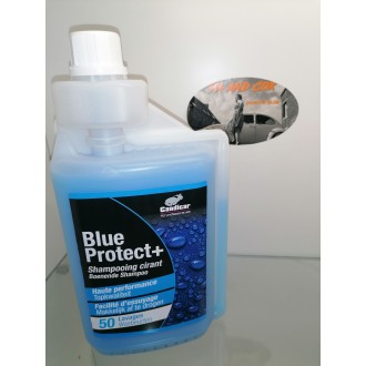 Blue Protect 1000 ml